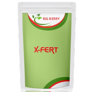 X-FERT Big Berry